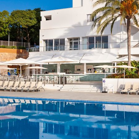 Globales Mimosa Hotel Palmanova Kültér fotó