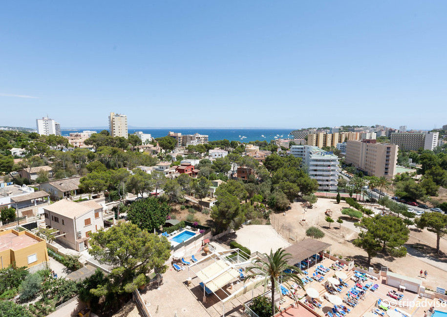 Globales Mimosa Hotel Palmanova Kültér fotó