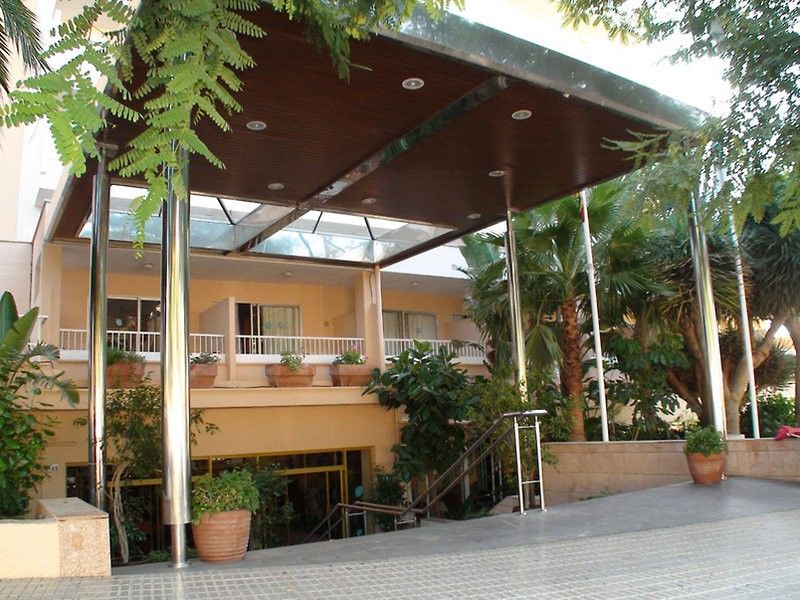 Globales Mimosa Hotel Palmanova Kültér fotó